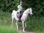 Image 31 in IPSWICH HORSE SOCIETY. SPRING CHARITY RIDE. WINSTON.