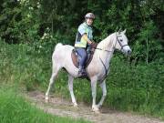 Image 32 in IPSWICH HORSE SOCIETY. SPRING CHARITY RIDE. WINSTON.