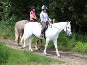 Image 39 in IPSWICH HORSE SOCIETY. SPRING CHARITY RIDE. WINSTON.