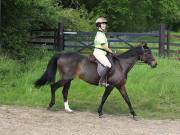 Image 4 in IPSWICH HORSE SOCIETY. SPRING CHARITY RIDE. WINSTON.