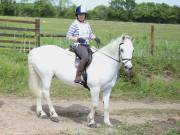 Image 42 in IPSWICH HORSE SOCIETY. SPRING CHARITY RIDE. WINSTON.