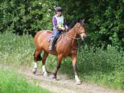 Image 52 in IPSWICH HORSE SOCIETY. SPRING CHARITY RIDE. WINSTON.