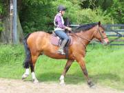 Image 54 in IPSWICH HORSE SOCIETY. SPRING CHARITY RIDE. WINSTON.