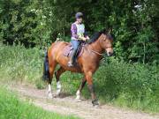 Image 55 in IPSWICH HORSE SOCIETY. SPRING CHARITY RIDE. WINSTON.