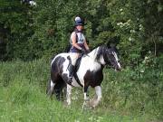 Image 6 in IPSWICH HORSE SOCIETY. SPRING CHARITY RIDE. WINSTON.