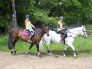 Image 61 in IPSWICH HORSE SOCIETY. SPRING CHARITY RIDE. WINSTON.