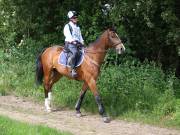 Image 62 in IPSWICH HORSE SOCIETY. SPRING CHARITY RIDE. WINSTON.