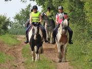 Image 69 in IPSWICH HORSE SOCIETY. SPRING CHARITY RIDE. WINSTON.