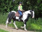 Image 70 in IPSWICH HORSE SOCIETY. SPRING CHARITY RIDE. WINSTON.