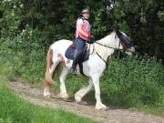 Image 75 in IPSWICH HORSE SOCIETY. SPRING CHARITY RIDE. WINSTON.