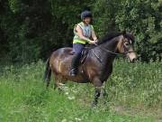 Image 79 in IPSWICH HORSE SOCIETY. SPRING CHARITY RIDE. WINSTON.