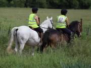 Image 80 in IPSWICH HORSE SOCIETY. SPRING CHARITY RIDE. WINSTON.