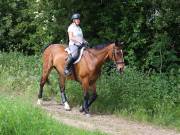 Image 82 in IPSWICH HORSE SOCIETY. SPRING CHARITY RIDE. WINSTON.