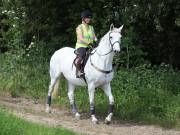 Image 86 in IPSWICH HORSE SOCIETY. SPRING CHARITY RIDE. WINSTON.