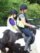 Image 87 in IPSWICH HORSE SOCIETY. SPRING CHARITY RIDE. WINSTON.