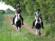 Image 89 in IPSWICH HORSE SOCIETY. SPRING CHARITY RIDE. WINSTON.