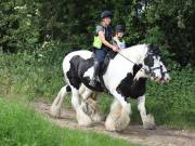 Image 91 in IPSWICH HORSE SOCIETY. SPRING CHARITY RIDE. WINSTON.
