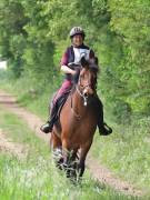 Image 93 in IPSWICH HORSE SOCIETY. SPRING CHARITY RIDE. WINSTON.