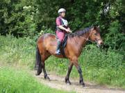 Image 94 in IPSWICH HORSE SOCIETY. SPRING CHARITY RIDE. WINSTON.