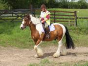 Image 96 in IPSWICH HORSE SOCIETY. SPRING CHARITY RIDE. WINSTON.