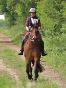 Image 97 in IPSWICH HORSE SOCIETY. SPRING CHARITY RIDE. WINSTON.