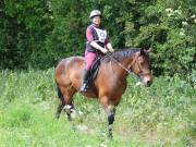 Image 98 in IPSWICH HORSE SOCIETY. SPRING CHARITY RIDE. WINSTON.