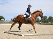 Image 10 in BROADLAND EQUESTRIAN CENTRE. DRESSAGE. JUNE 2019.