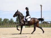 Image 101 in BROADLAND EQUESTRIAN CENTRE. DRESSAGE. JUNE 2019.