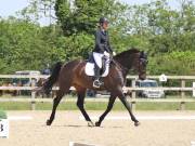 Image 103 in BROADLAND EQUESTRIAN CENTRE. DRESSAGE. JUNE 2019.