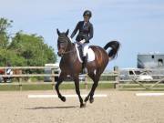 Image 105 in BROADLAND EQUESTRIAN CENTRE. DRESSAGE. JUNE 2019.