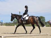 Image 107 in BROADLAND EQUESTRIAN CENTRE. DRESSAGE. JUNE 2019.