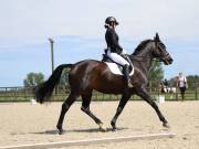 Image 108 in BROADLAND EQUESTRIAN CENTRE. DRESSAGE. JUNE 2019.