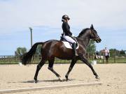 Image 11 in BROADLAND EQUESTRIAN CENTRE. DRESSAGE. JUNE 2019.