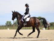 Image 113 in BROADLAND EQUESTRIAN CENTRE. DRESSAGE. JUNE 2019.