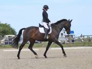 Image 116 in BROADLAND EQUESTRIAN CENTRE. DRESSAGE. JUNE 2019.