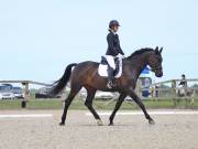 Image 119 in BROADLAND EQUESTRIAN CENTRE. DRESSAGE. JUNE 2019.