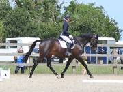 Image 120 in BROADLAND EQUESTRIAN CENTRE. DRESSAGE. JUNE 2019.