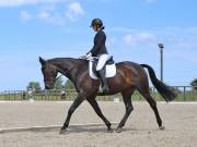 Image 121 in BROADLAND EQUESTRIAN CENTRE. DRESSAGE. JUNE 2019.