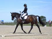 Image 126 in BROADLAND EQUESTRIAN CENTRE. DRESSAGE. JUNE 2019.