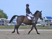 Image 128 in BROADLAND EQUESTRIAN CENTRE. DRESSAGE. JUNE 2019.