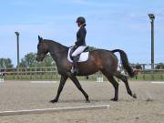 Image 131 in BROADLAND EQUESTRIAN CENTRE. DRESSAGE. JUNE 2019.