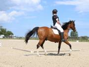 Image 132 in BROADLAND EQUESTRIAN CENTRE. DRESSAGE. JUNE 2019.