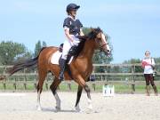 Image 133 in BROADLAND EQUESTRIAN CENTRE. DRESSAGE. JUNE 2019.