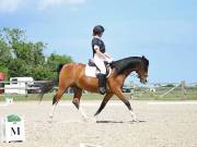 Image 134 in BROADLAND EQUESTRIAN CENTRE. DRESSAGE. JUNE 2019.