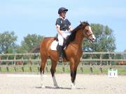 Image 135 in BROADLAND EQUESTRIAN CENTRE. DRESSAGE. JUNE 2019.