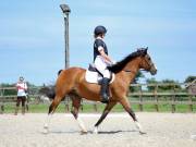 Image 136 in BROADLAND EQUESTRIAN CENTRE. DRESSAGE. JUNE 2019.