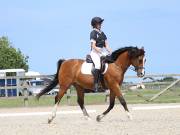 Image 140 in BROADLAND EQUESTRIAN CENTRE. DRESSAGE. JUNE 2019.