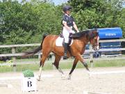 Image 141 in BROADLAND EQUESTRIAN CENTRE. DRESSAGE. JUNE 2019.