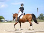 Image 142 in BROADLAND EQUESTRIAN CENTRE. DRESSAGE. JUNE 2019.