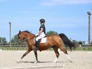 Image 143 in BROADLAND EQUESTRIAN CENTRE. DRESSAGE. JUNE 2019.